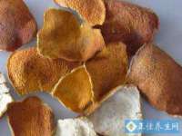 河南省橙韵信息技术有限公司
