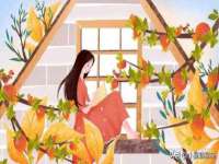 河南省橙韵信息技术有限公司