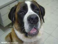 河南省橙韵信息技术有限公司
