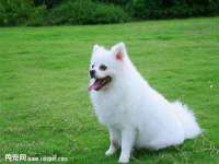河南省橙韵信息技术有限公司