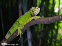 河南省橙韵信息技术有限公司