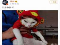 河南省橙韵信息技术有限公司